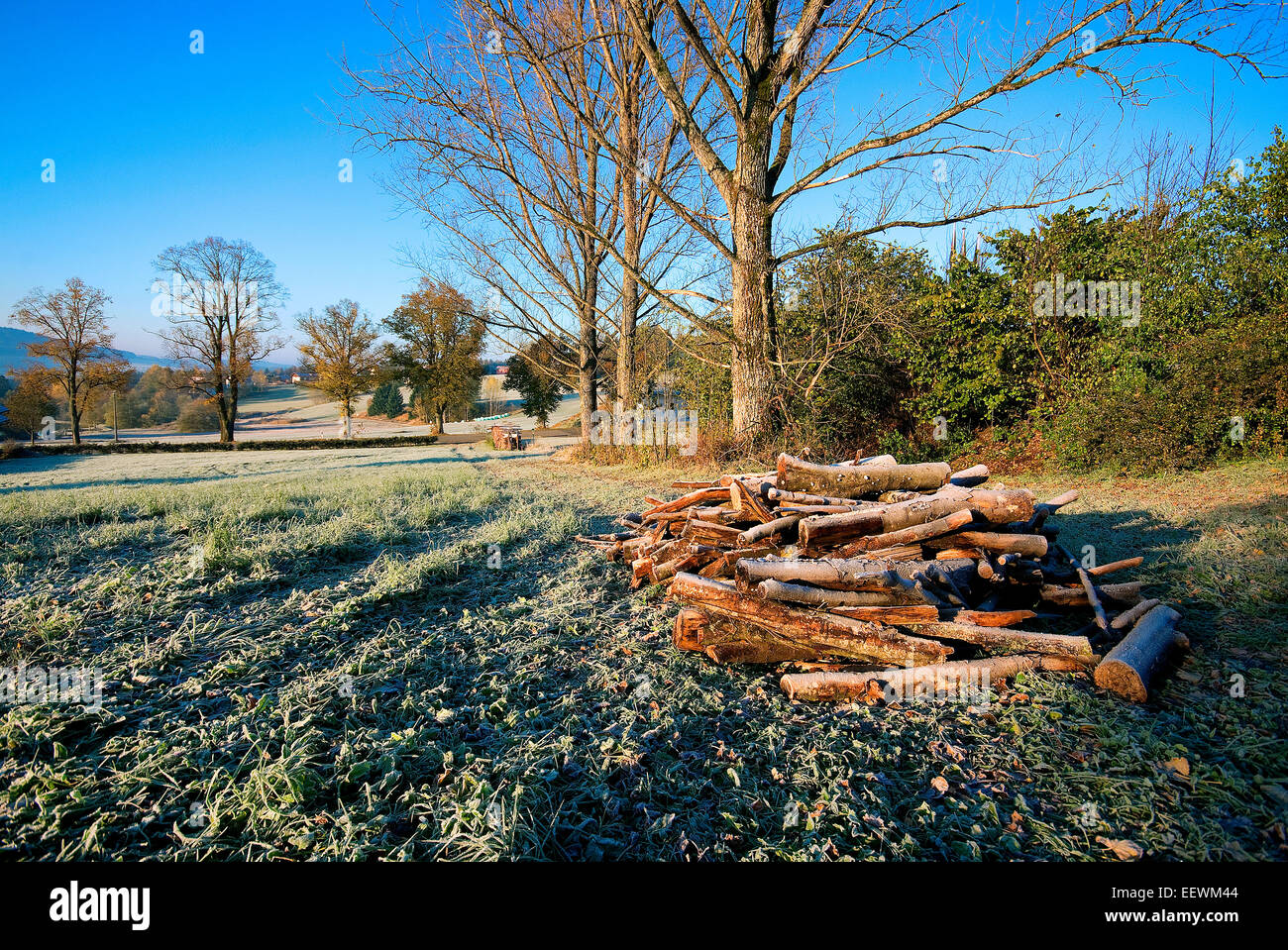 Raureif, Land in der Nähe von Neuschonau, Bayerischer Wald, Bayern, Deutschland Stockfoto