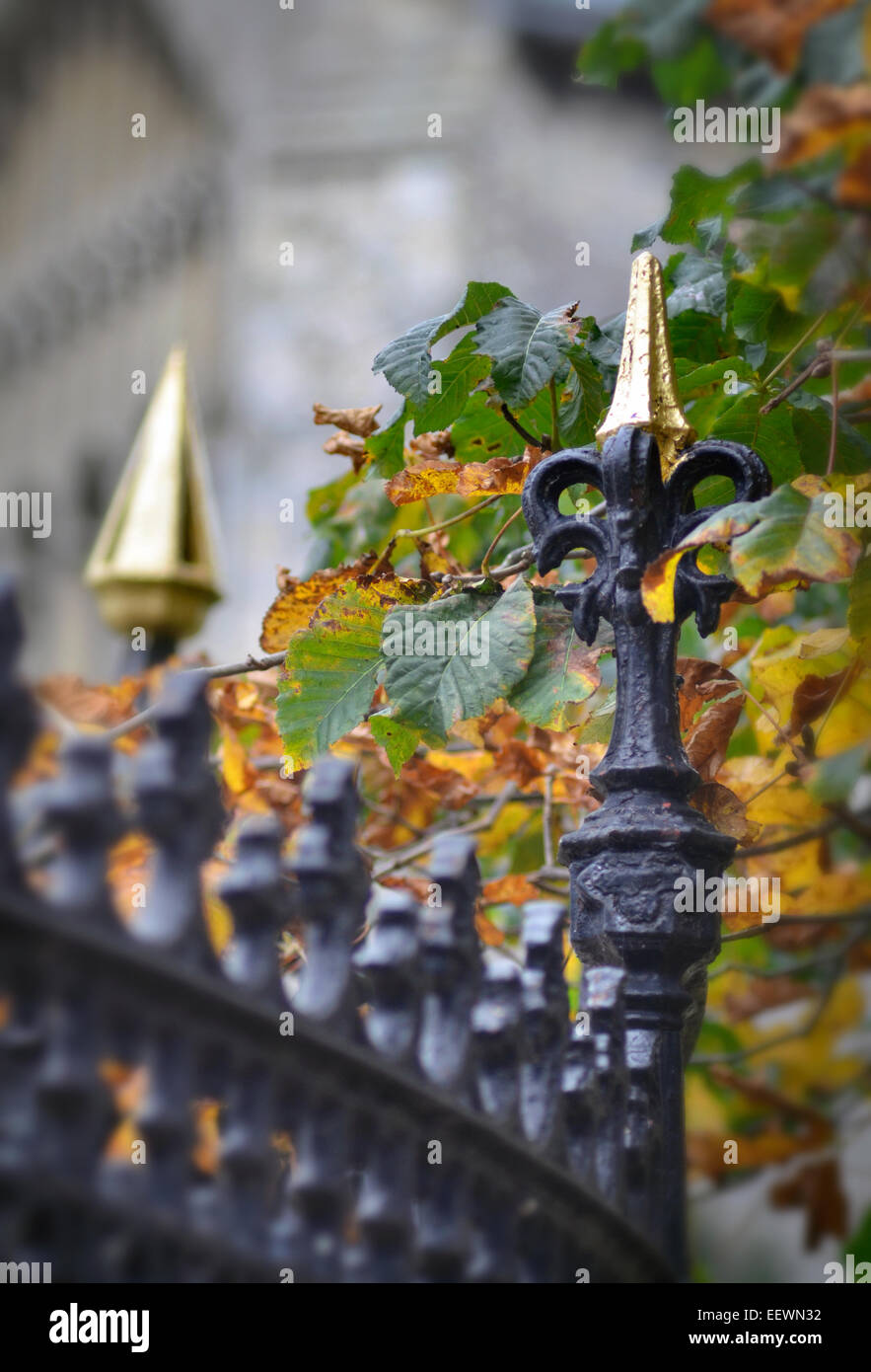 Gusseisen Zaun und Herbstlaub Stockfoto