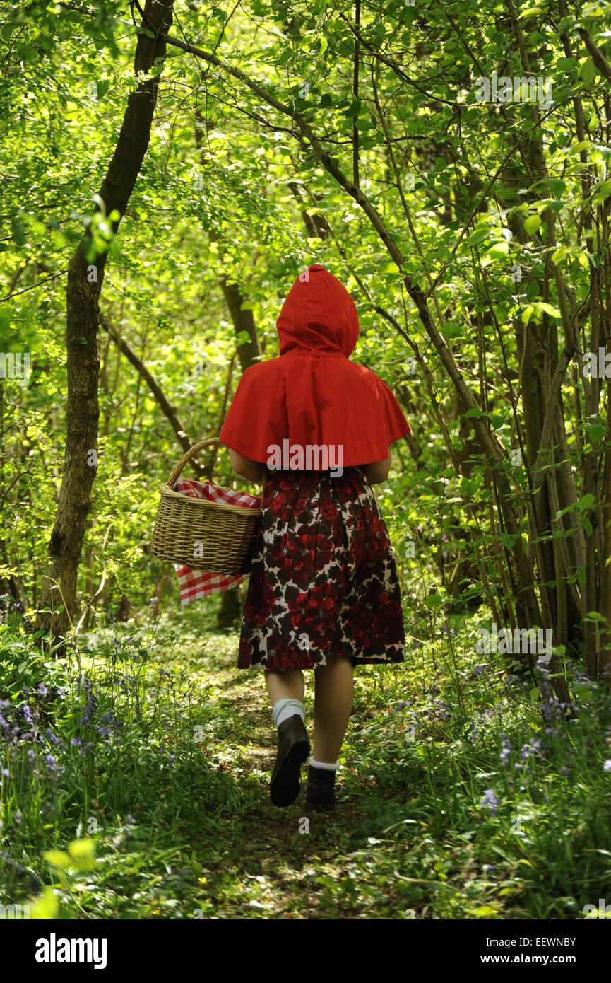Little Red Riding Hood zu Fuß durch den Wald Stockfoto