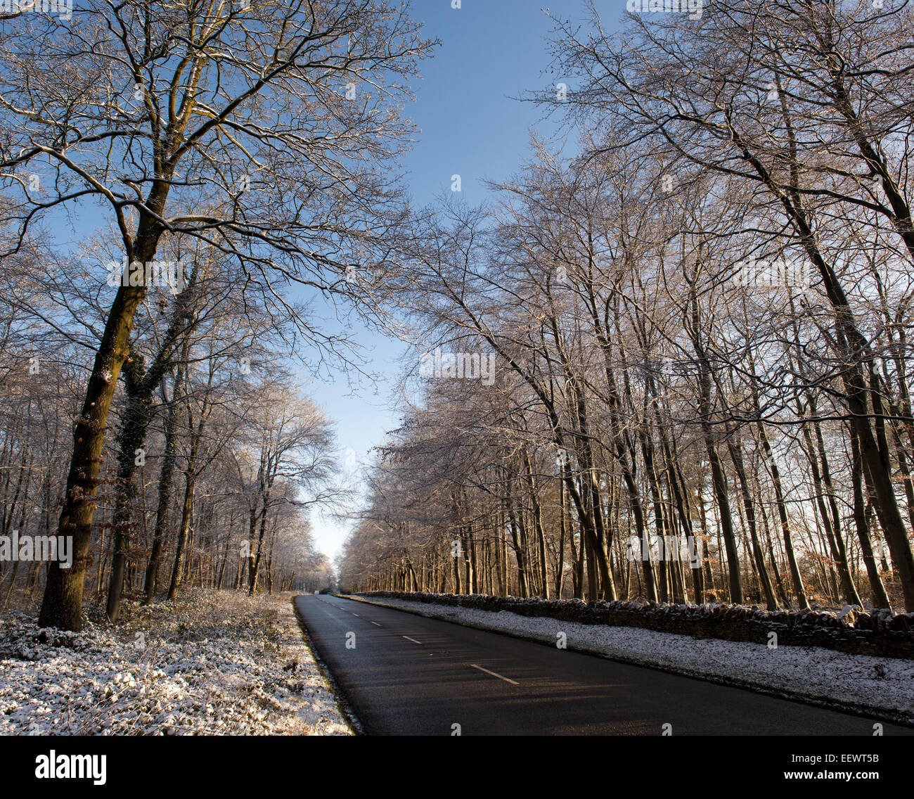 Straße auf der Wold durch Winter Bäume im Schnee in den Cotswolds Stow. England Stockfoto