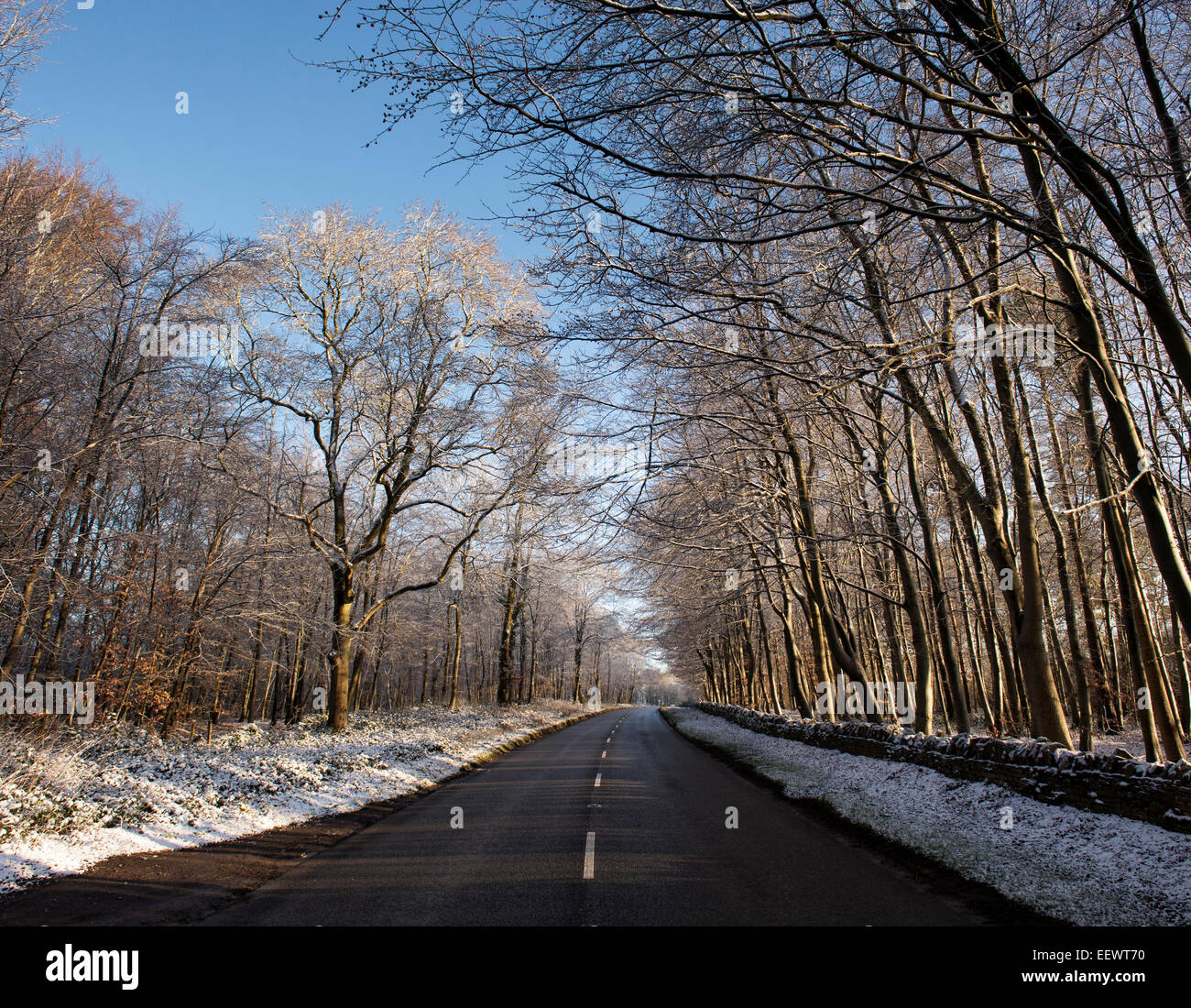 Straße auf der Wold durch Winter Bäume im Schnee in den Cotswolds Stow. England Stockfoto