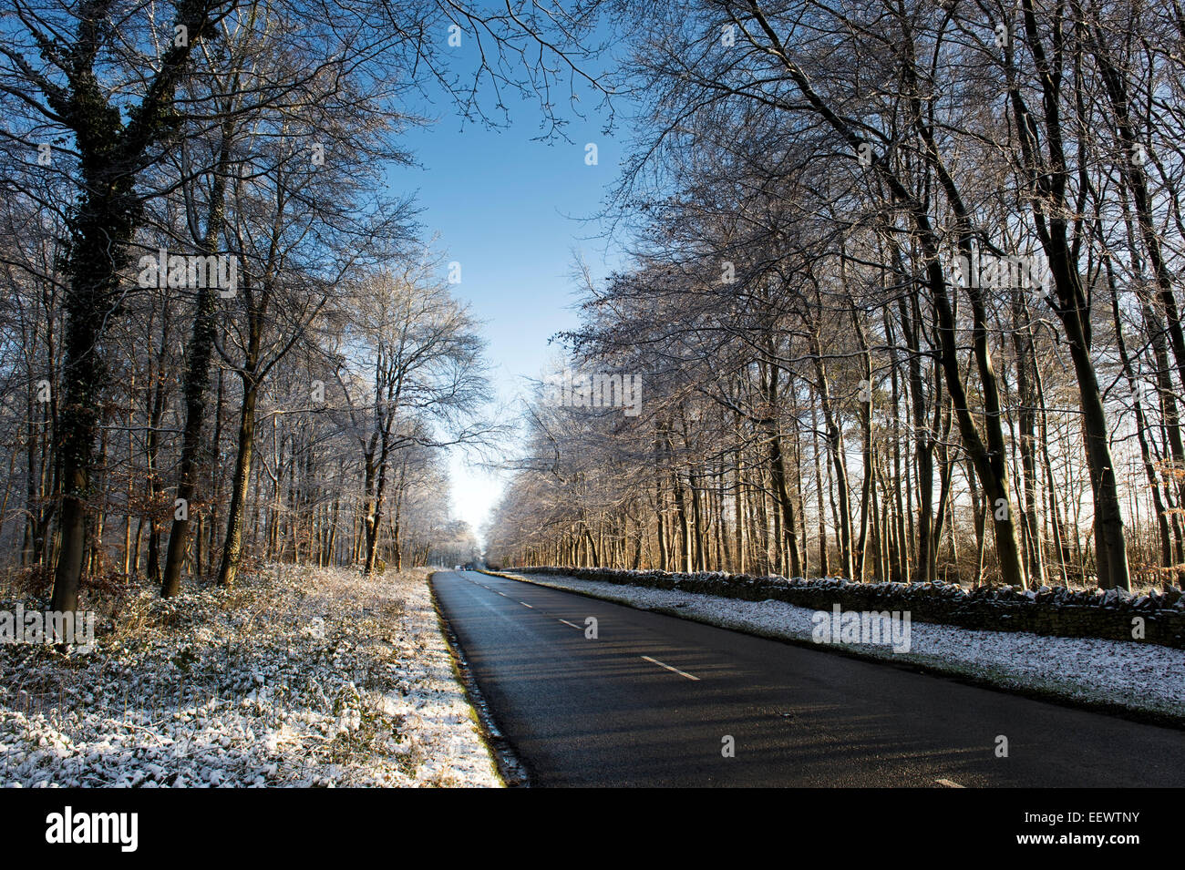 Straße auf der Wold durch Winter Bäume im Schnee in den Cotswolds Stow. England Stockfoto