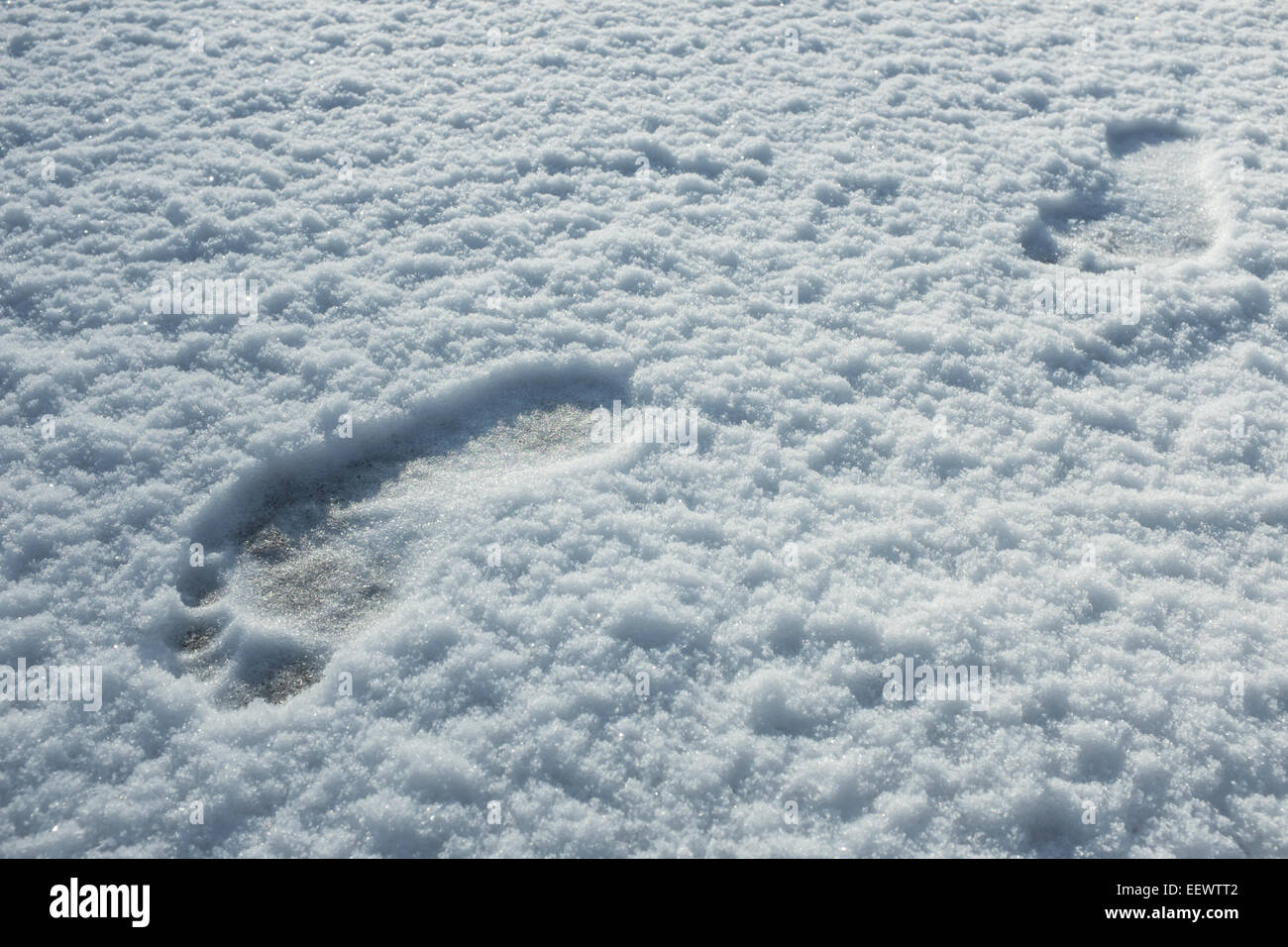 Spuren schnee barfuss -Fotos und -Bildmaterial in hoher Auflösung – Alamy