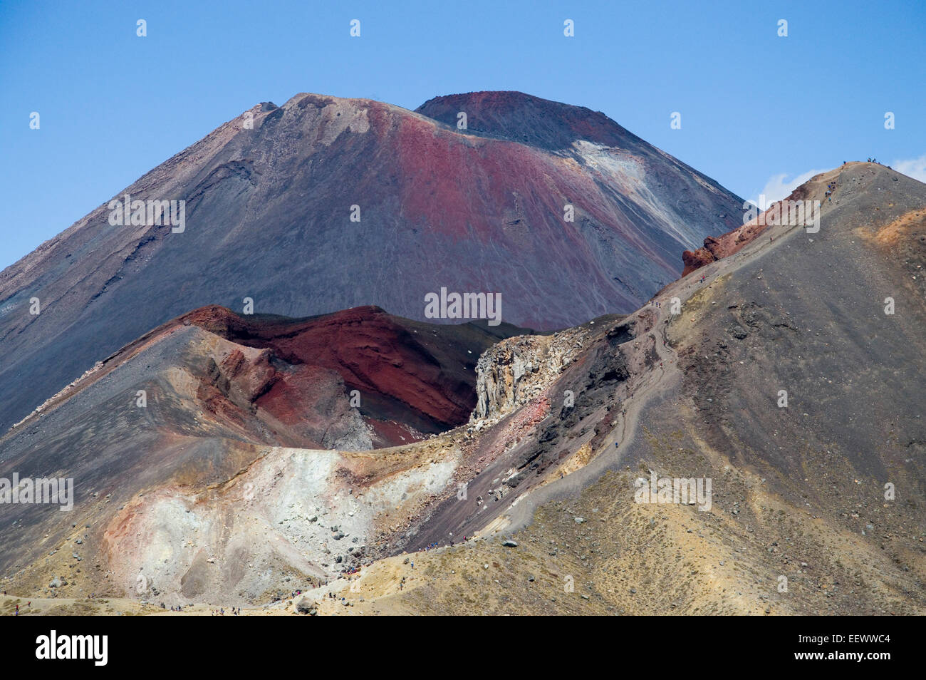 Rote Krater mit Mt Nghauruhoe im Hintergrund. Tongariro National Park. Neuseeland mit Wanderer den Grat absteigend Stockfoto