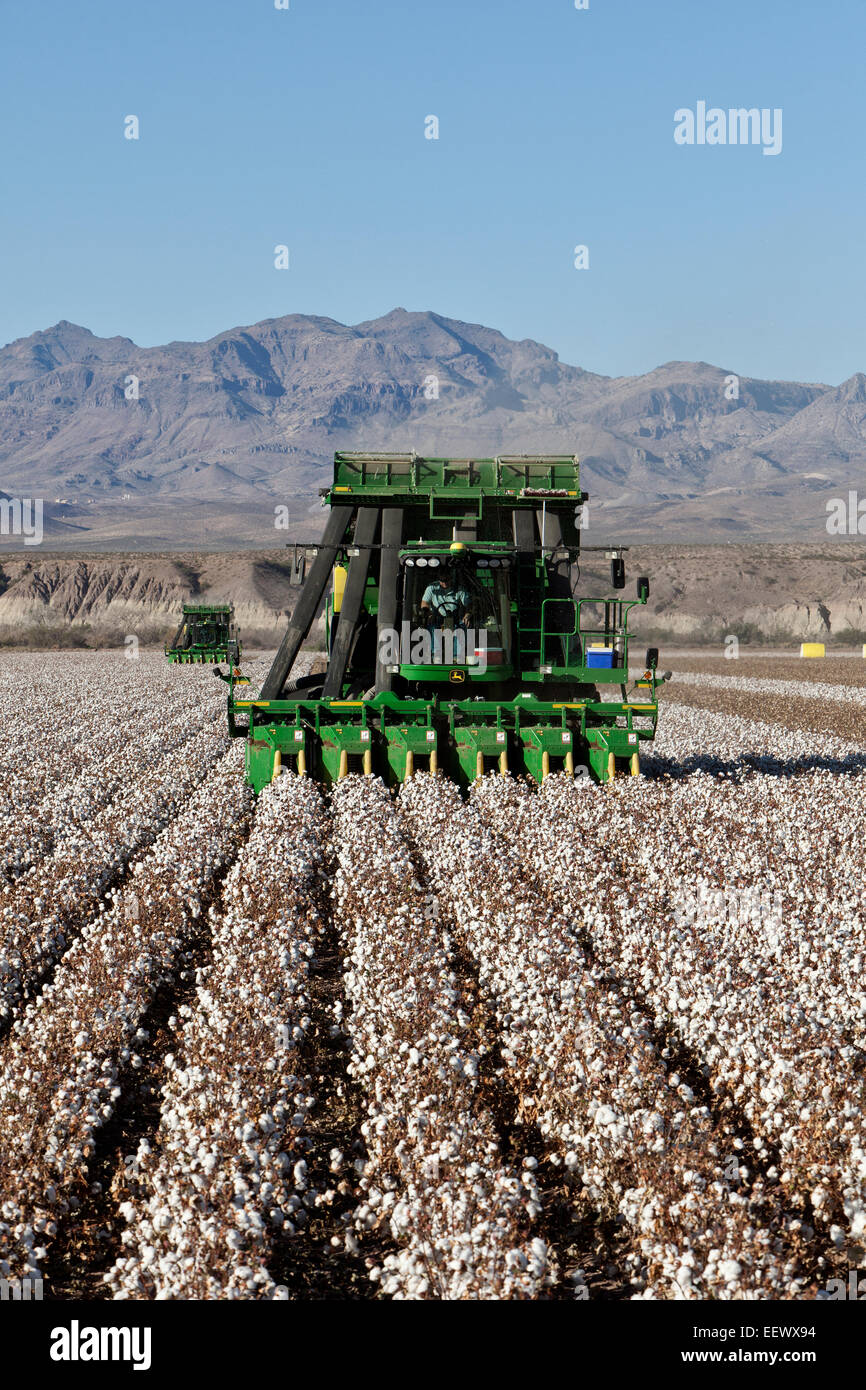 Landwirt 7760 John Deere Cotton Pickers Ernte Feld in Betrieb. Stockfoto