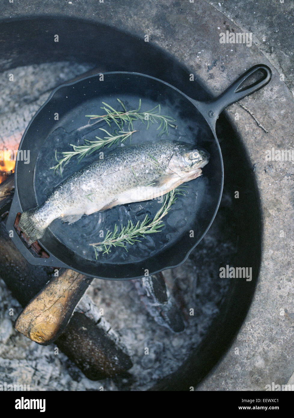 Fisch in einer Pfanne über dem Feuer im Freien. Stockfoto