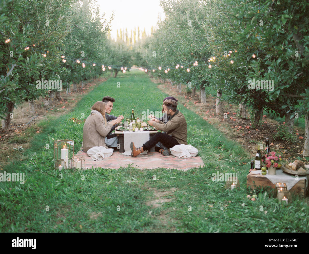 Apfelplantage. Gruppe von Menschen, die mit einem Picknick Stockfoto