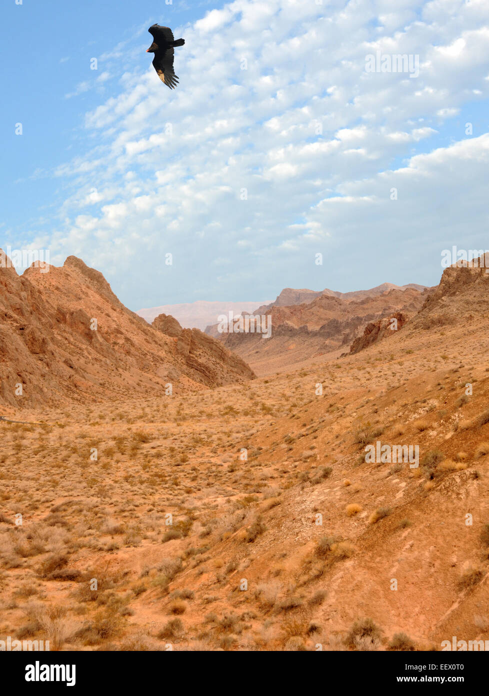 Rote Felsen in der Wüste, Nevada, USA Stockfoto