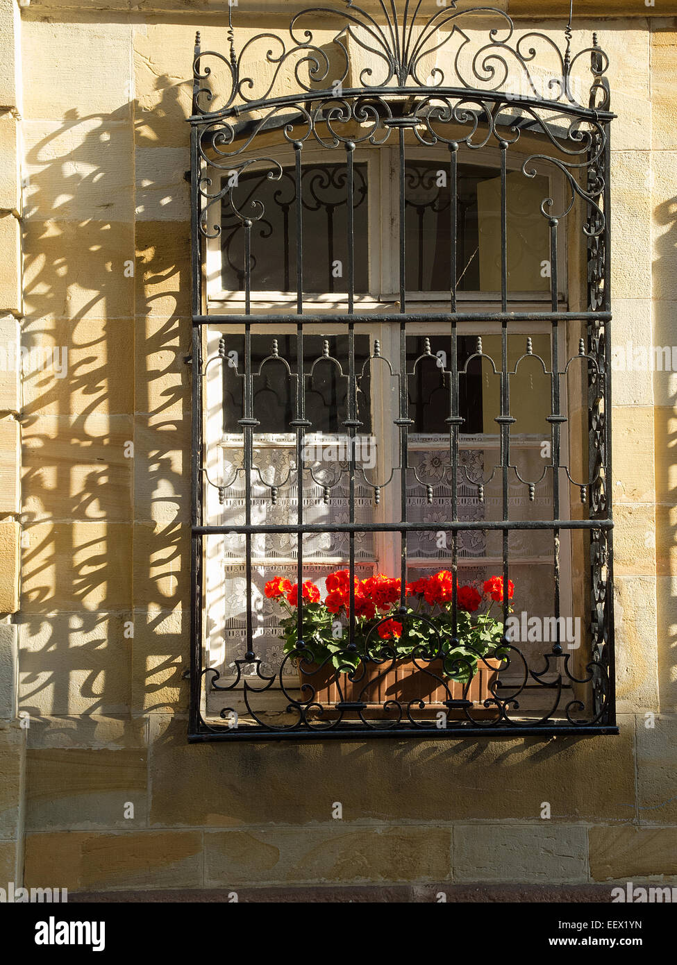 Fensterbox mit Geranien und verzierten Fenstergrill und Schatten in Mulhouse Frankreich Stockfoto