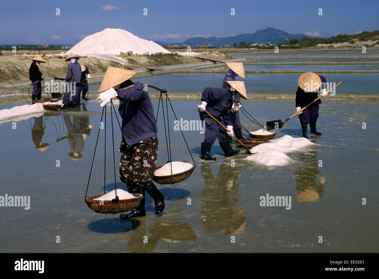 Vietnam, Nha Trang, Cam Ranh Salzfelder Stockfoto