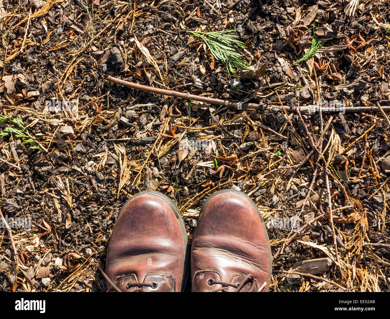 Meine Schuhe Stockfoto