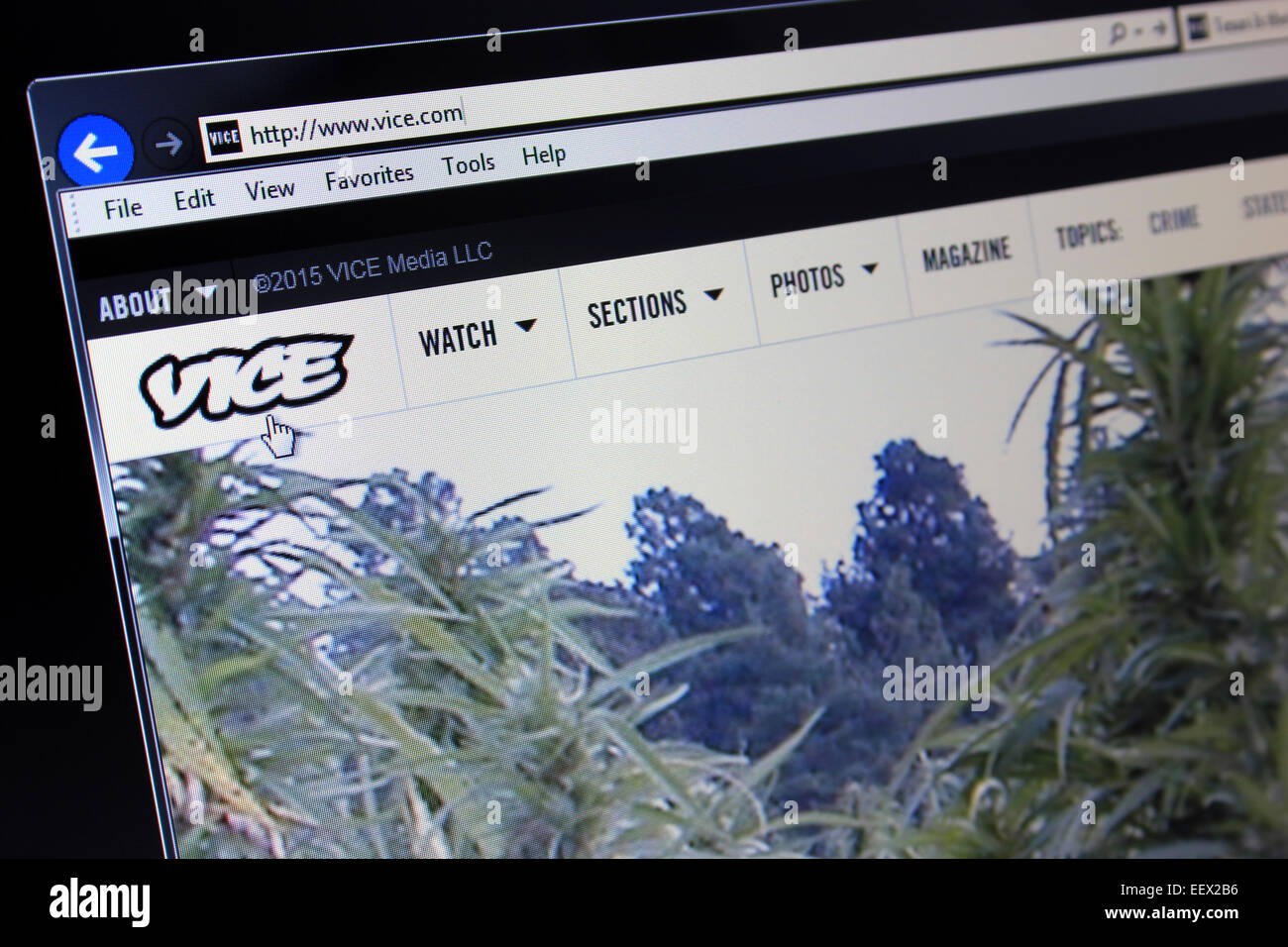 Vice.com Webseite Stockfoto