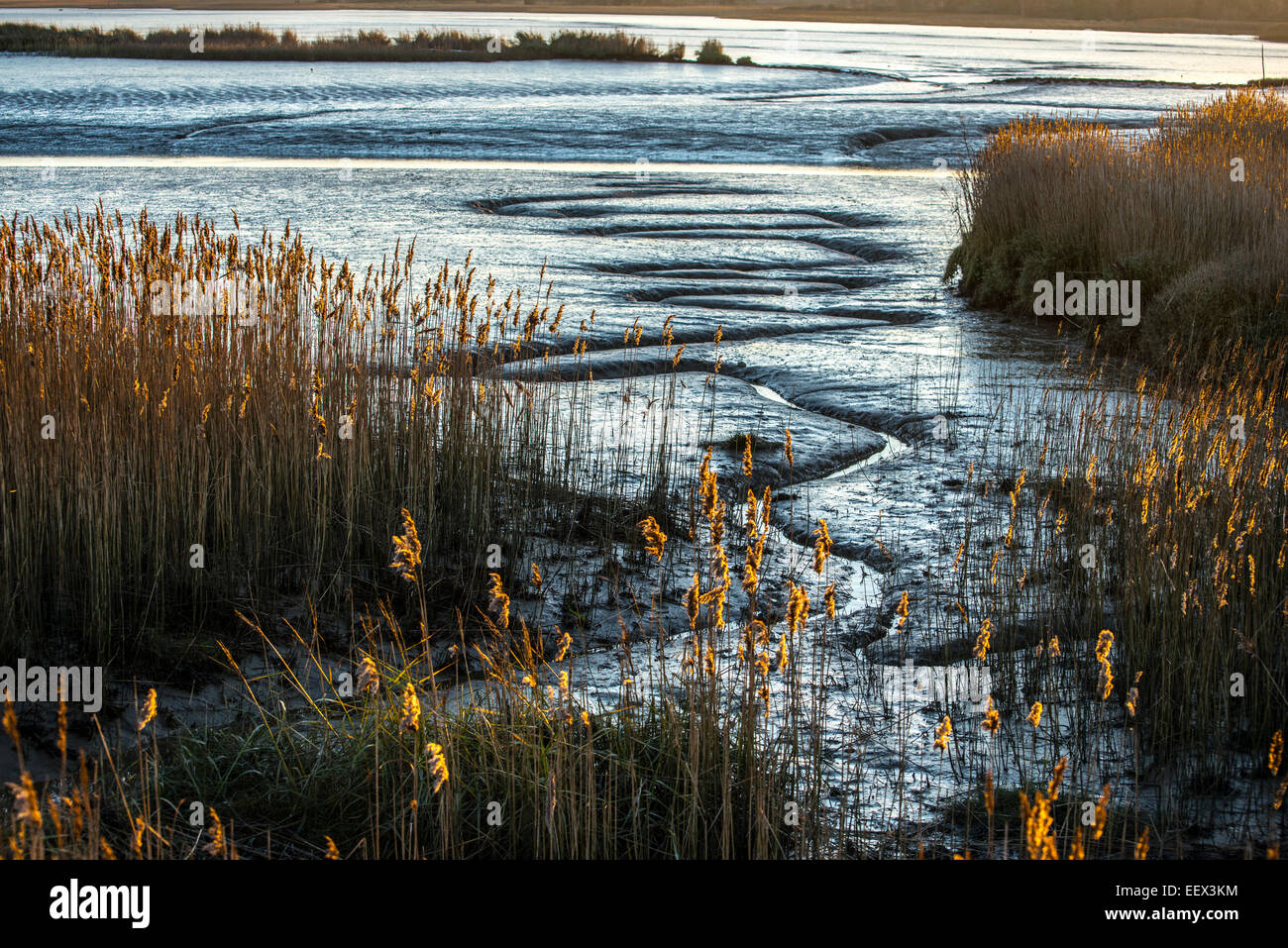 Ebbe auf dem Fluß Alde, Suffolk. Stockfoto