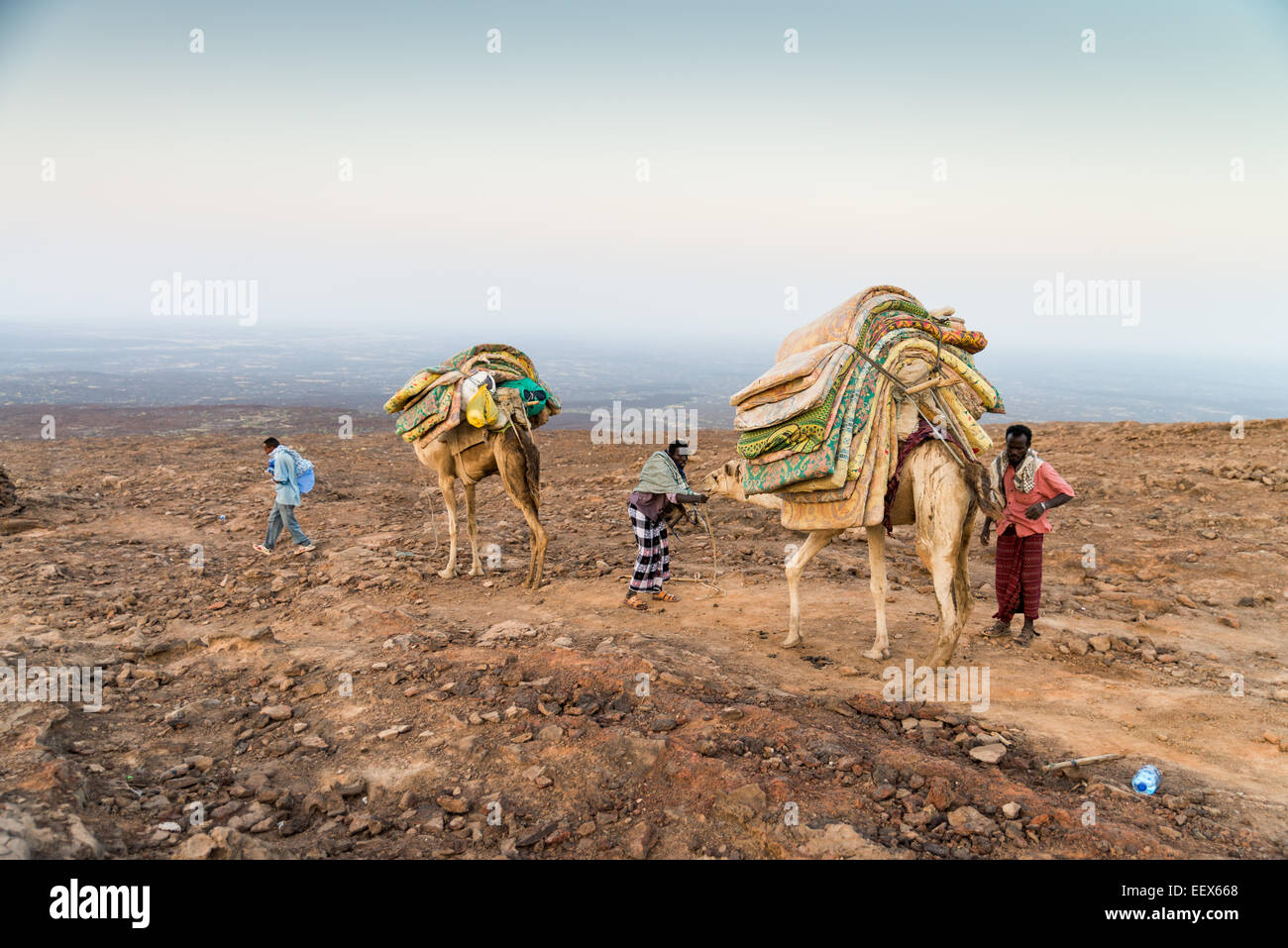 Afrika, Äthiopien, Danakil, Ferne Nomaden Wohnwagen Stockfoto