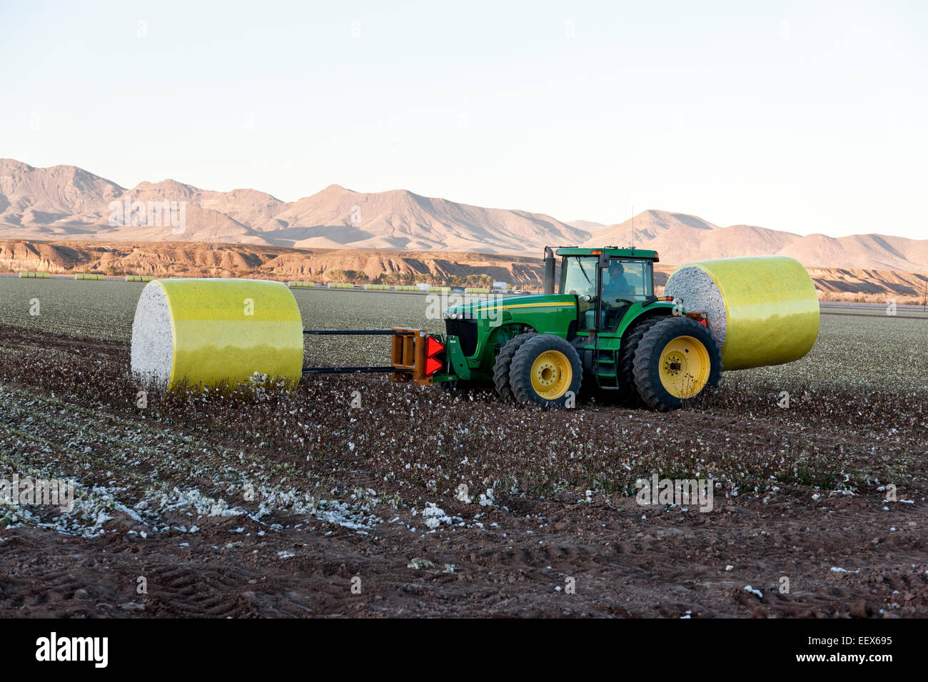 Traktor Transport geernteten Baumwolle Module. Stockfoto