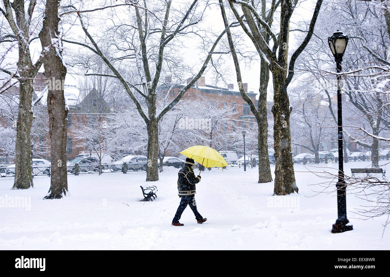 Ein Mann geht durch Wooster Square Park in New Haven während Montages Schneesturm. Stockfoto