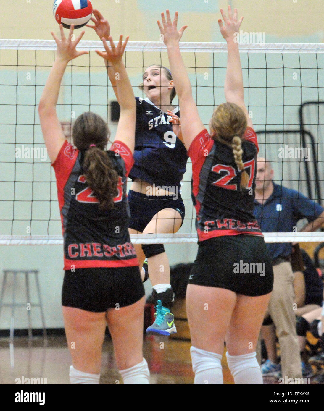 Cheshire, CT USA Staples Lauren Mushro stellt die Spitze in Cheshire während des Spiels CIAC Klasse LL Meisterschaft Volleyball Meisterschaft. Stockfoto