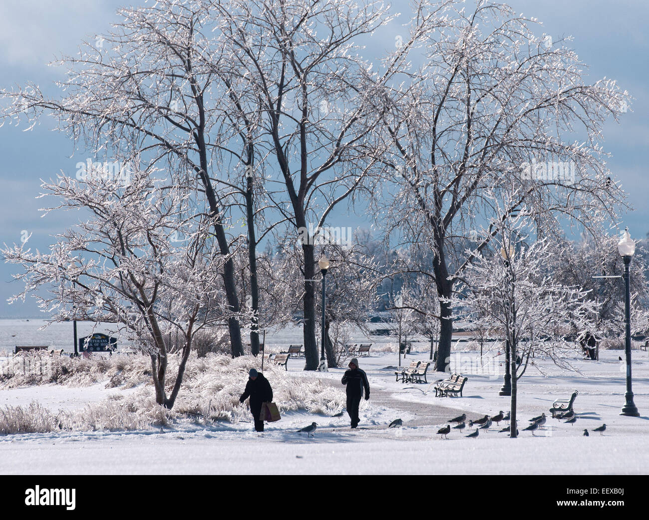 Eisiges Wetter in West Haven CT USA nach einem Winter-Eis-Sturm Stockfoto