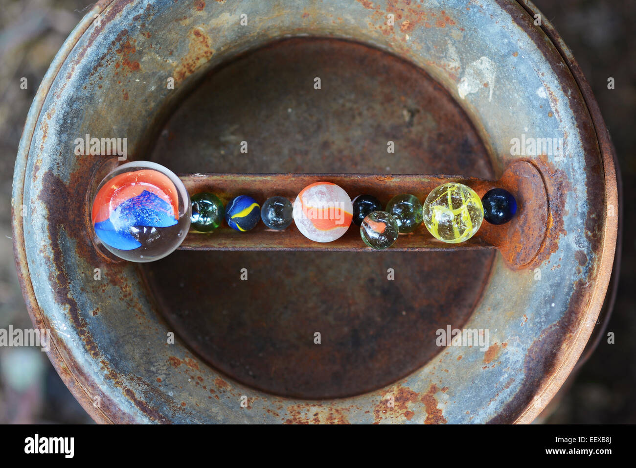 Gelber augendeckel -Fotos und -Bildmaterial in hoher Auflösung – Alamy