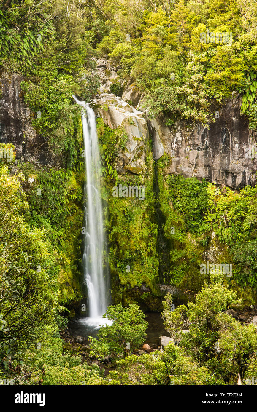 Dawson Falls, Egmont-Nationalpark, Nordinsel, Neuseeland Stockfoto