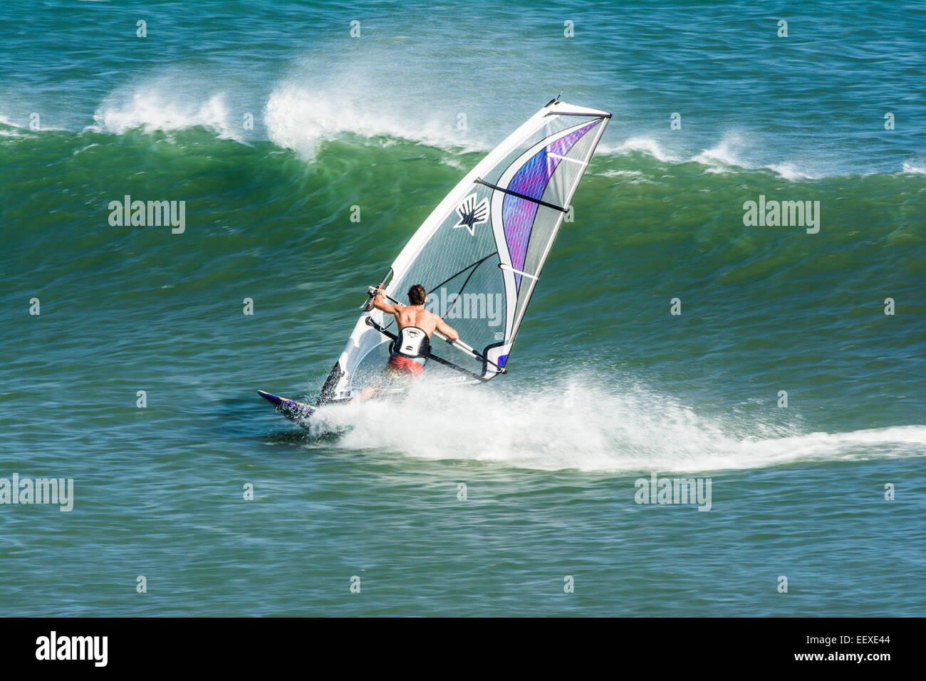 Windsurfen, Punto San Carlos, Baja California, Mexiko Stockfoto