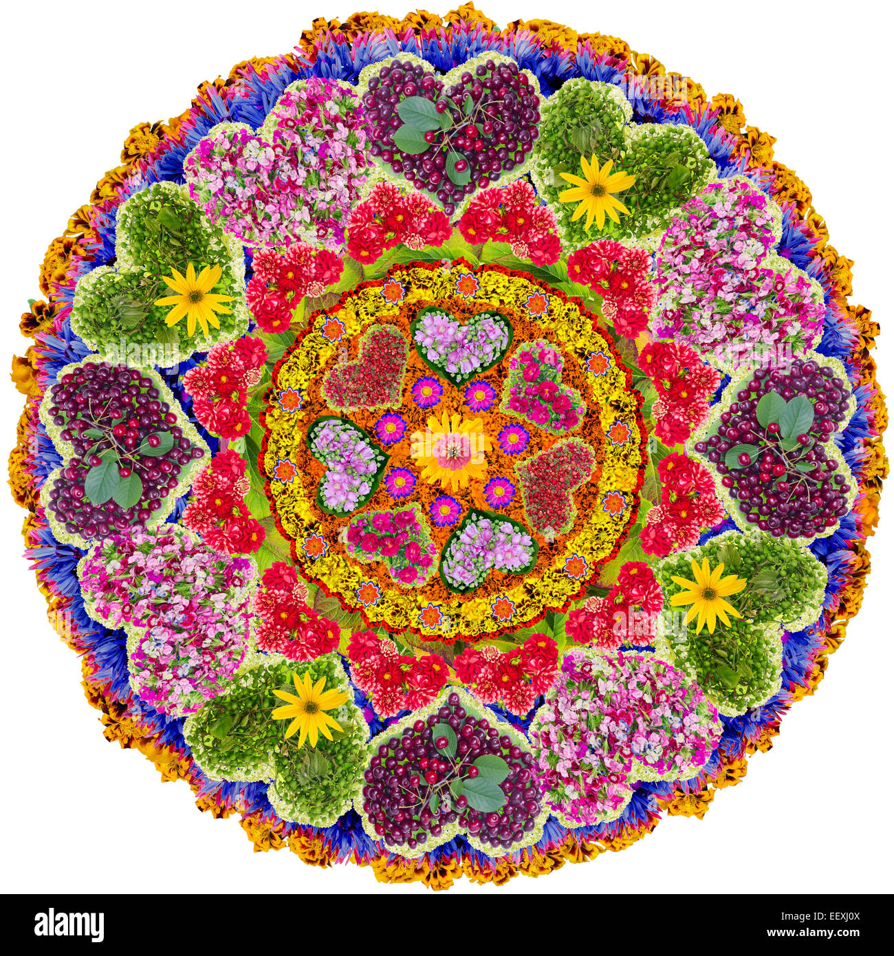 Liebe Mandala - spirituelle und rituelle Symbol im Buddhismus, hergestellt aus Sommerblumen. Isolierte abstrakte collage Stockfoto