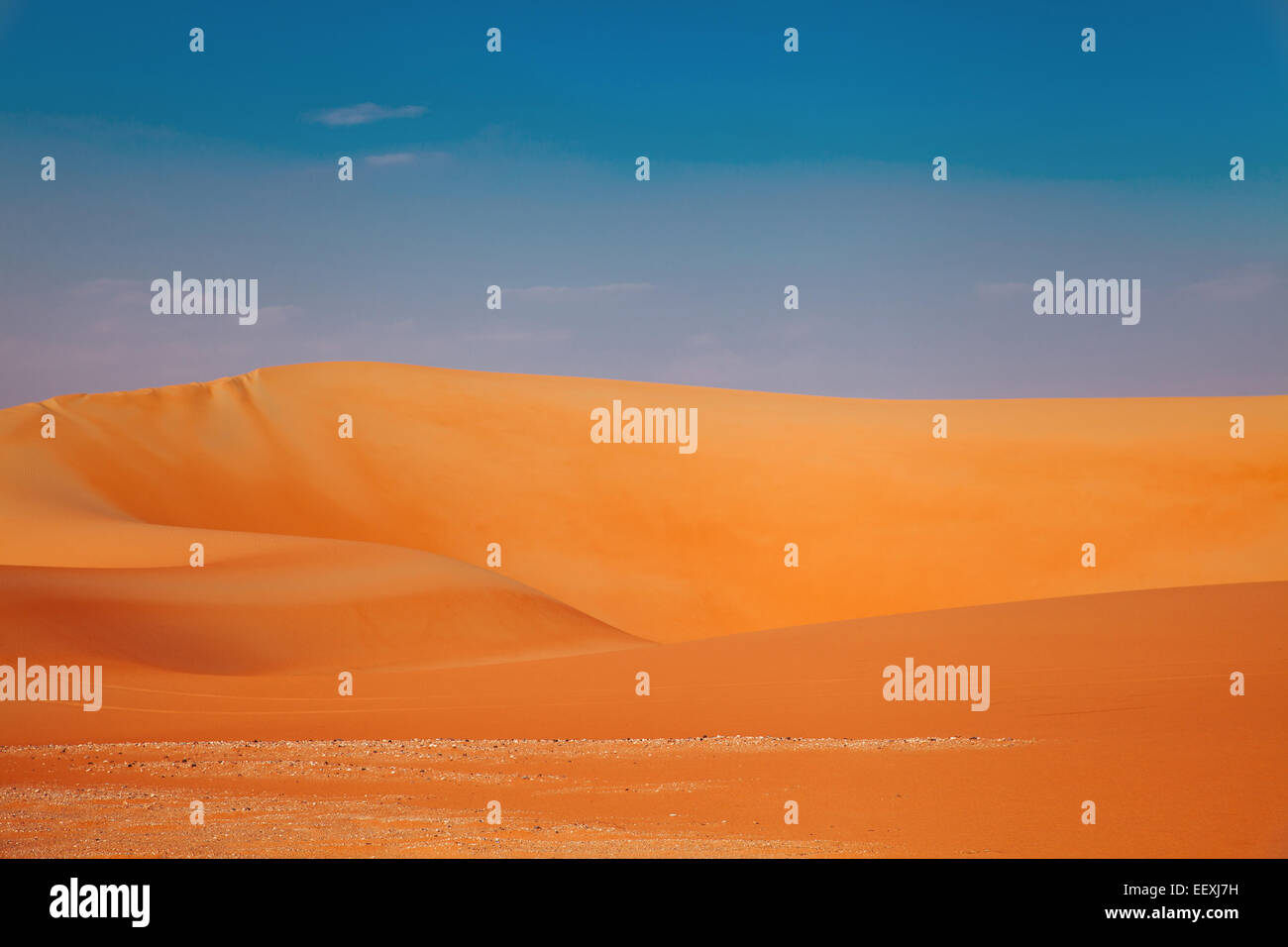 Perfekte Sanddünen mit blauem Himmel - Arabische Wüste Stockfoto