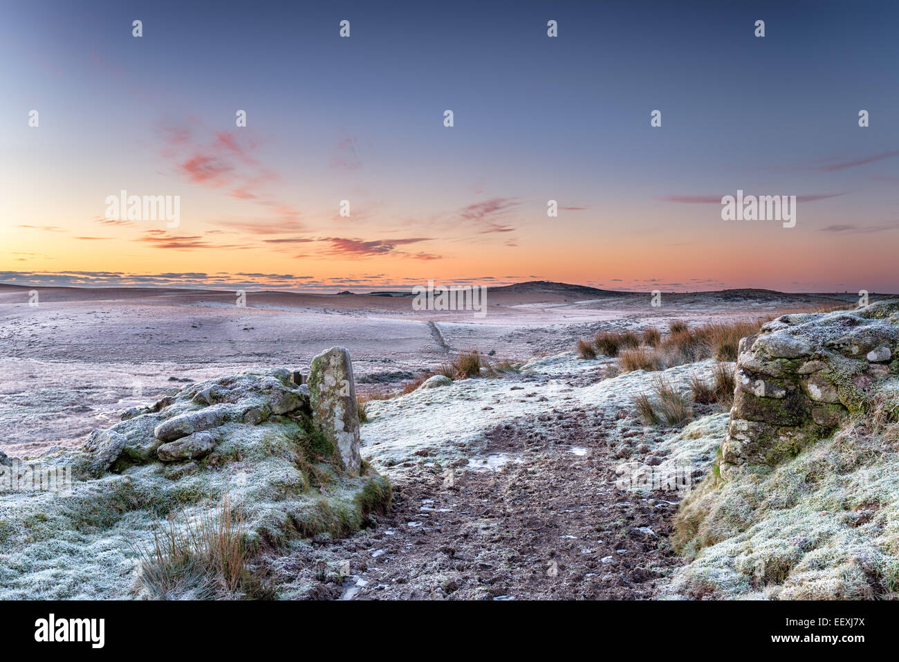 Eine schöne Winter-Sonnenaufgang über Bodmin Moor in Cornwall Stockfoto