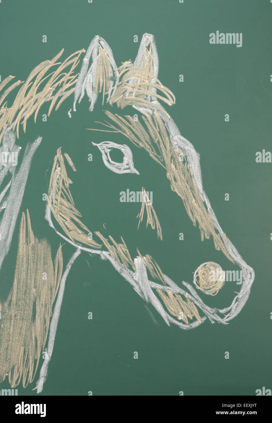 Kreidezeichnung von Pferd auf einer Tafel Stockfoto