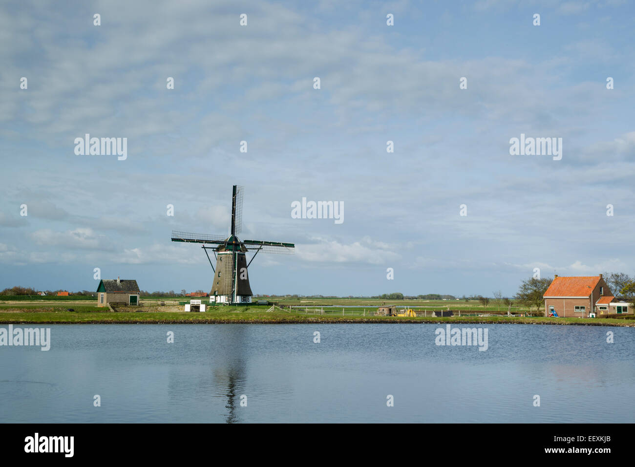 Windmühle am Polder Het Noorden auf der Insel Texel, Holland Stockfoto