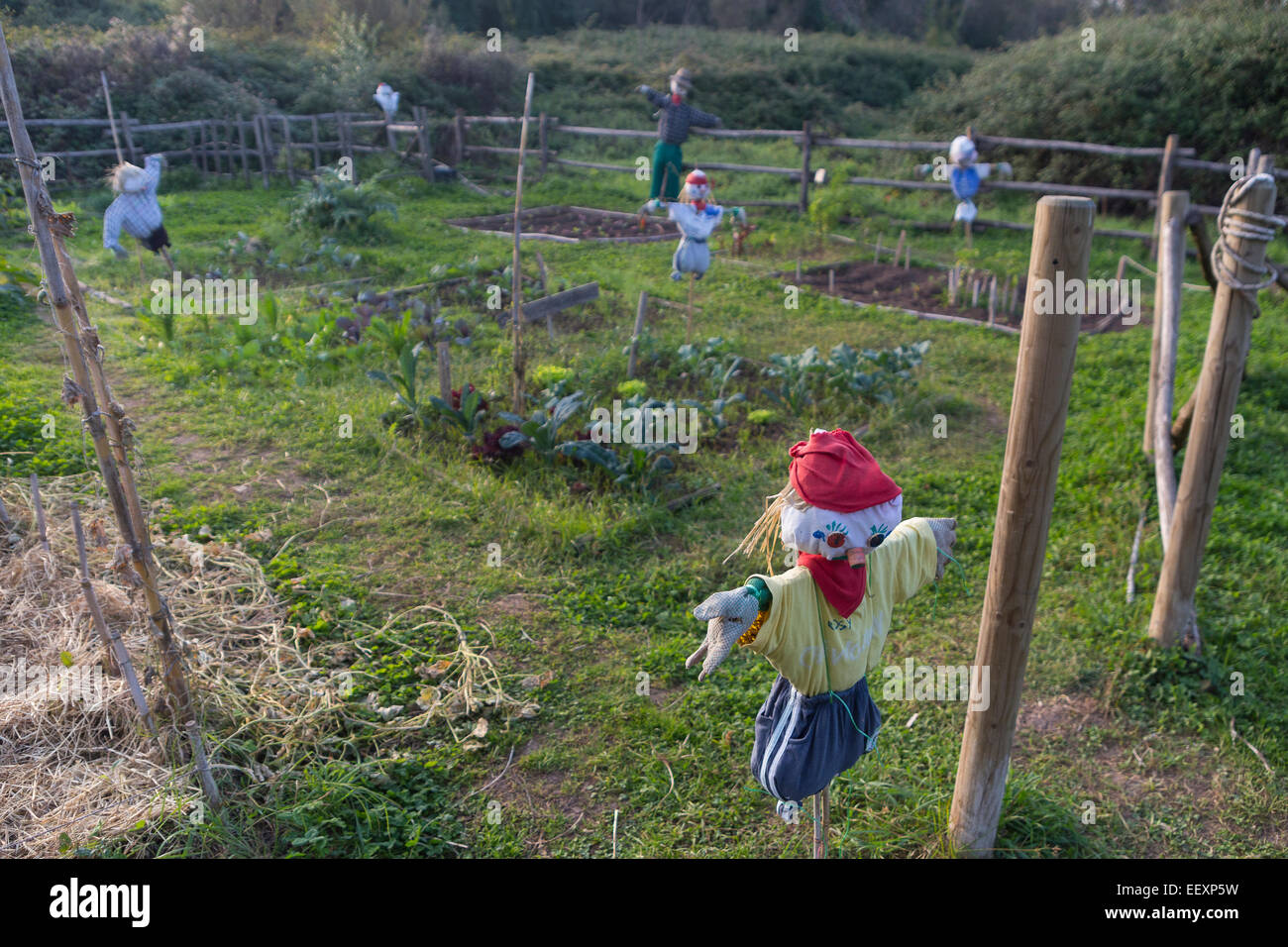 Vogelscheuche in einem Gemüsegarten in einer Landschaft Stockfoto