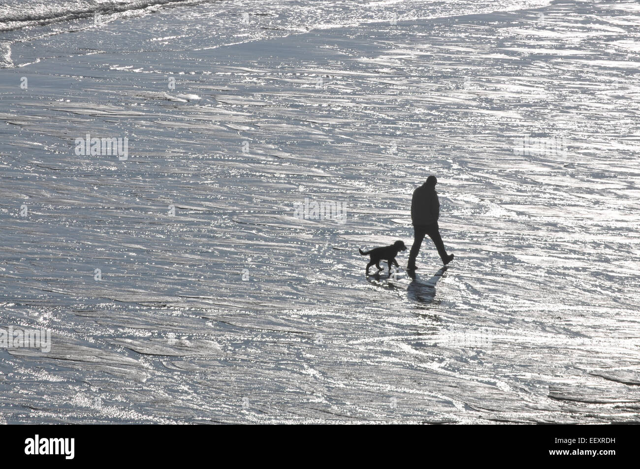 Ein Mann geht seinen Hund ein Cornish Strand entlang Stockfoto