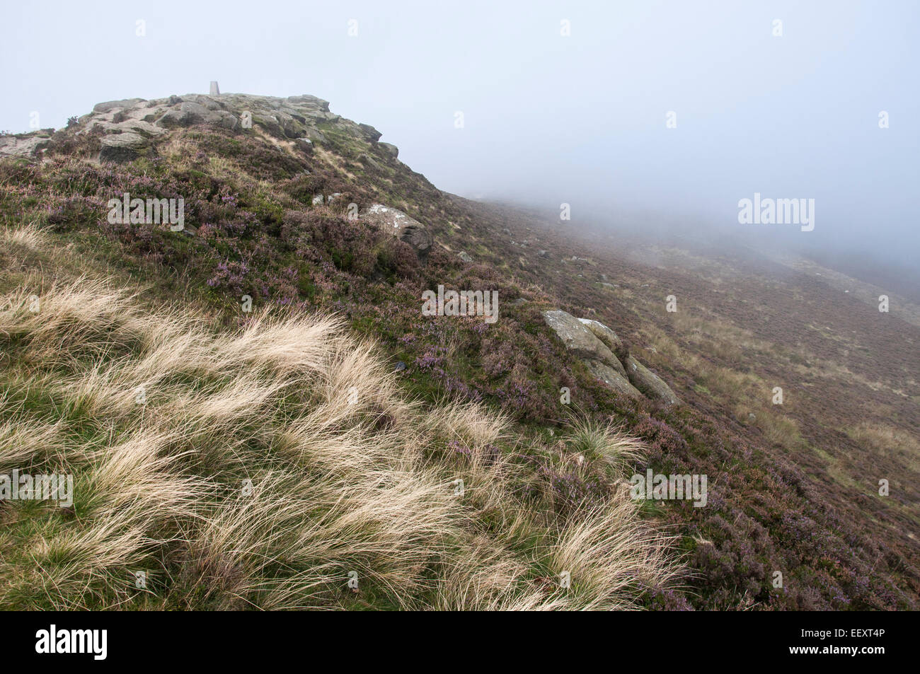 Trigonometrischen Punkt auf Win Hill im Peak District mit windigen Gräser am Hang. Ein nebeliger Morgen. Stockfoto