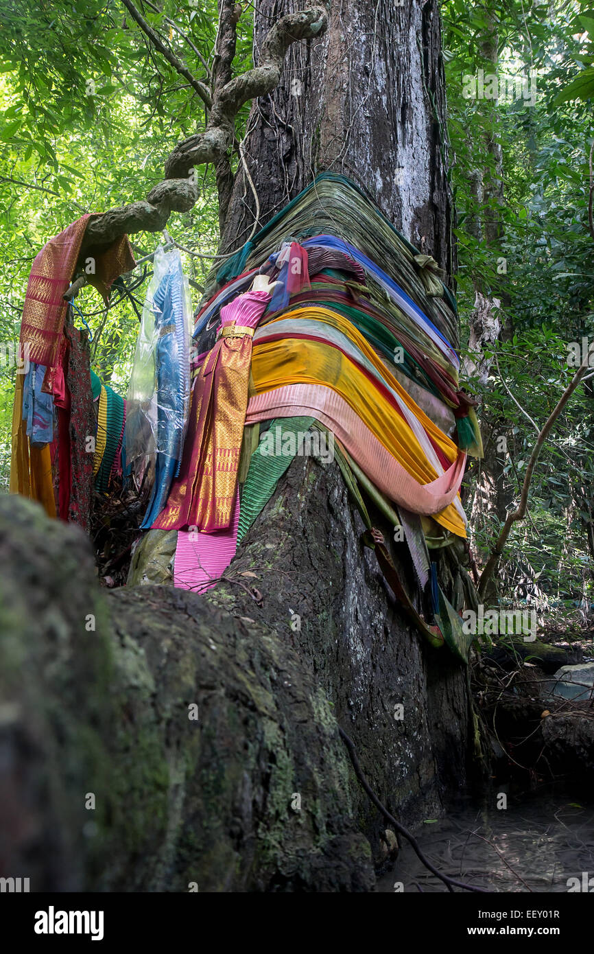 Baum der Geister bandagiert farbige Textilien Stockfoto