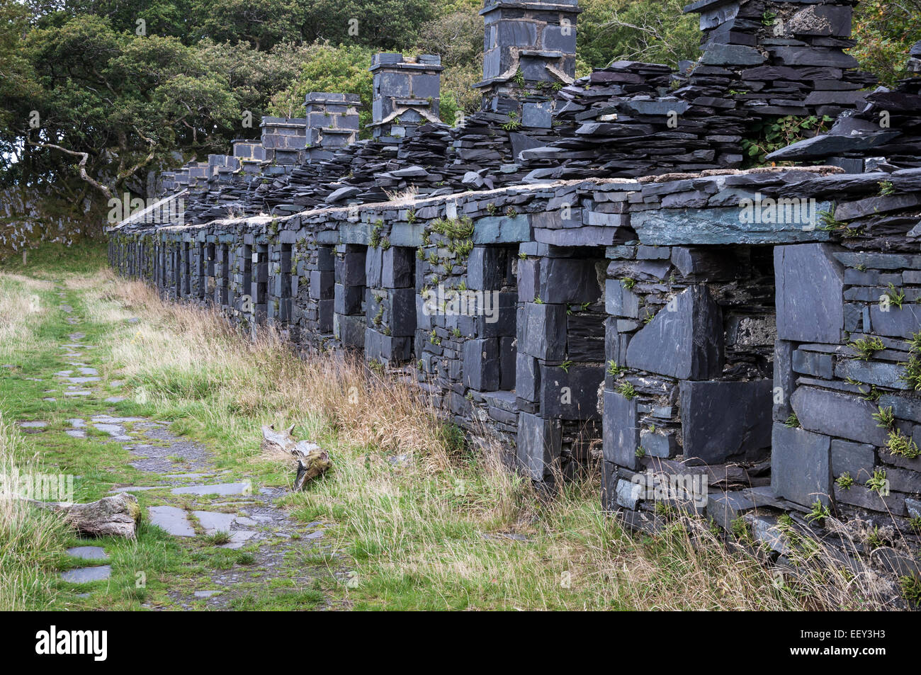 Anglesey barracks in Dinorwig Steinbruch. Stimmungsvolle Aufnahme dieser Schiefer gebaut Ruinen, die einst für Gehäuse Arbeiter an die Schiefer-Steinbrüche. Stockfoto