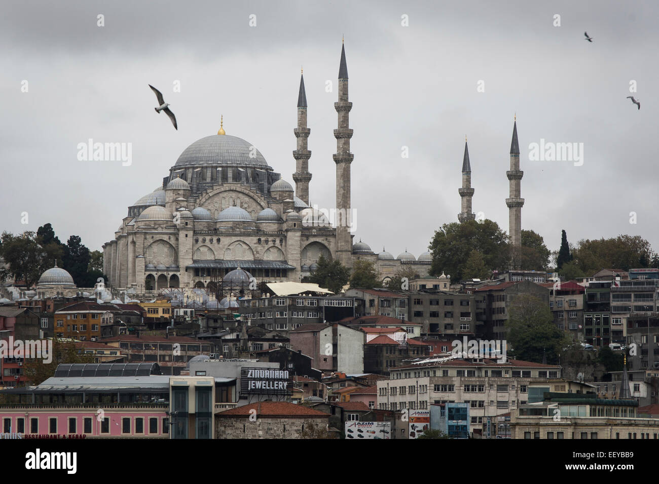 Blick auf Istanbul mit einigen Möwen. Stockfoto