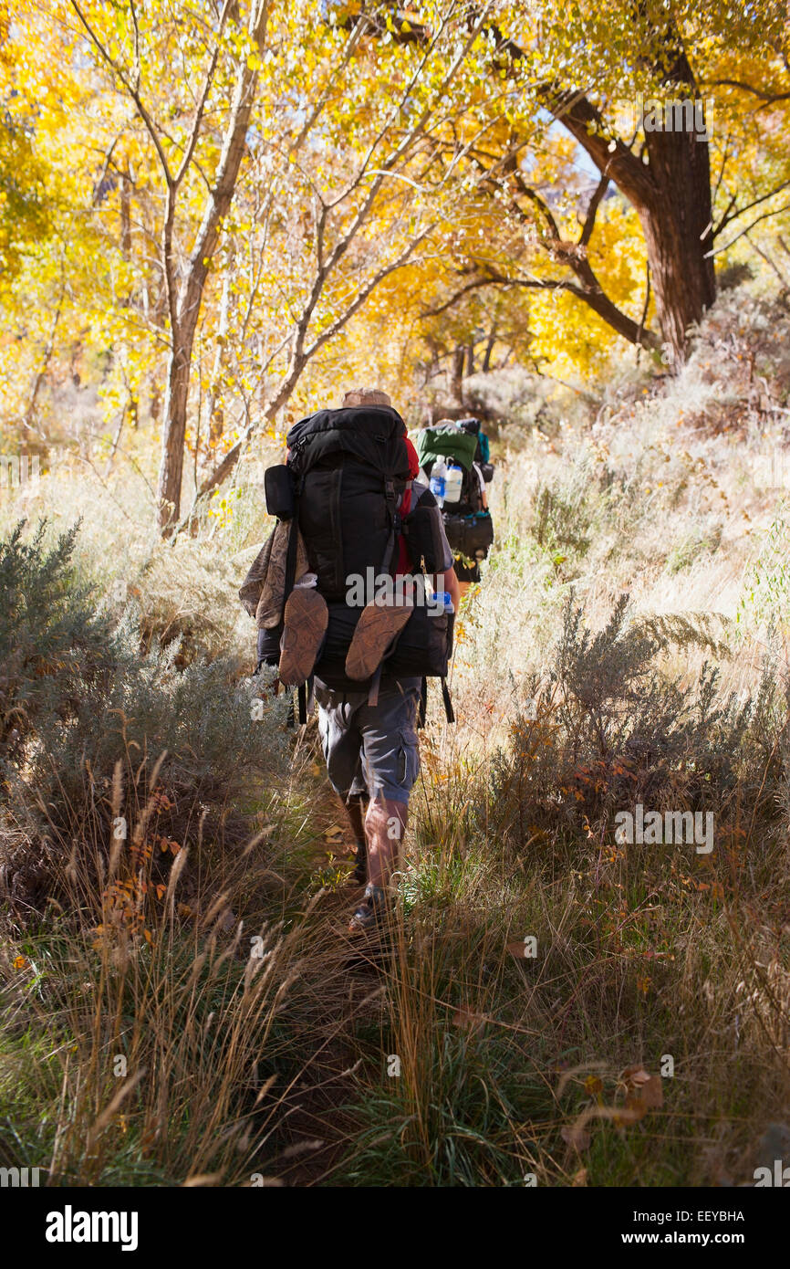 USA, Utah, Grand Gulch, zwei Menschen wandern im Wald Stockfoto