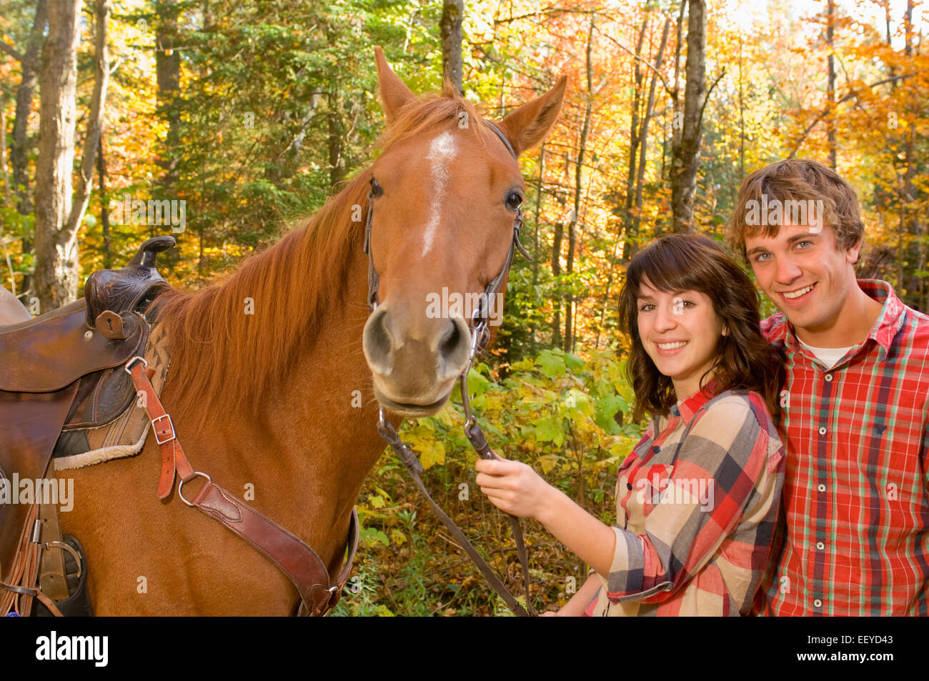 Paar vor Pferd stehend Stockfoto