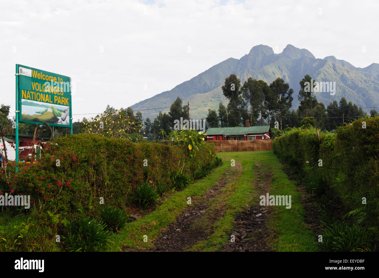 Hauptsitz des Volcanoes National Park in Kinigi. Ruanda. Mt. Sabyinyo auf dem Hintergrund Stockfoto