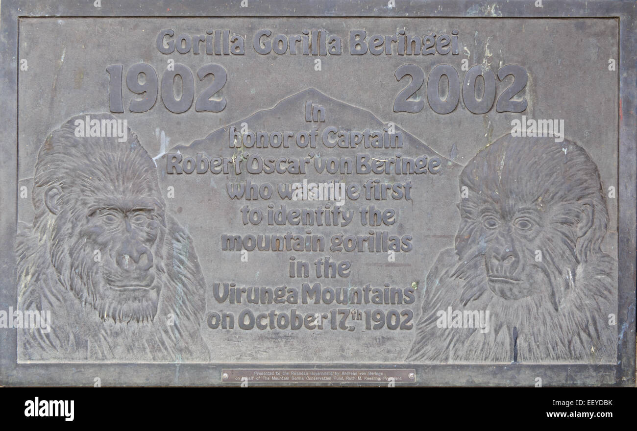Gedenktafel gewidmet Hauptmann von Beringe, wer der erste war, der Berggorillas zu identifizieren. Ruanda. Stockfoto
