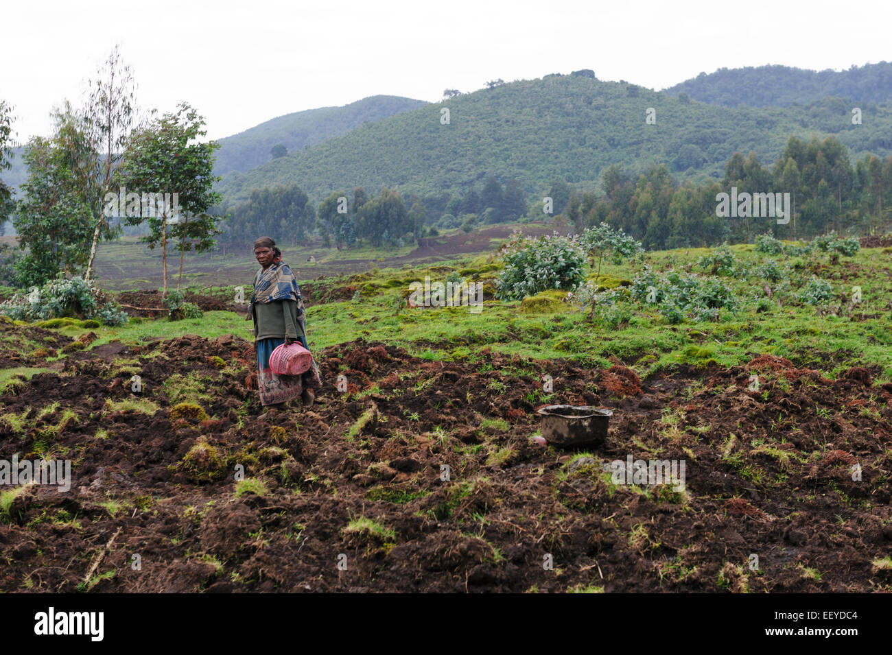 Bäuerin auf den Pisten des Volcanoes National Park. Ruanda Stockfoto