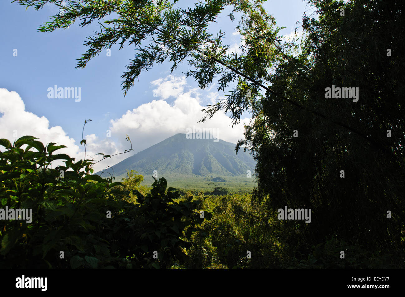 Volcanoes-Nationalpark in Kinigi.  Mt. Sabyinyo. Ruanda. Stockfoto