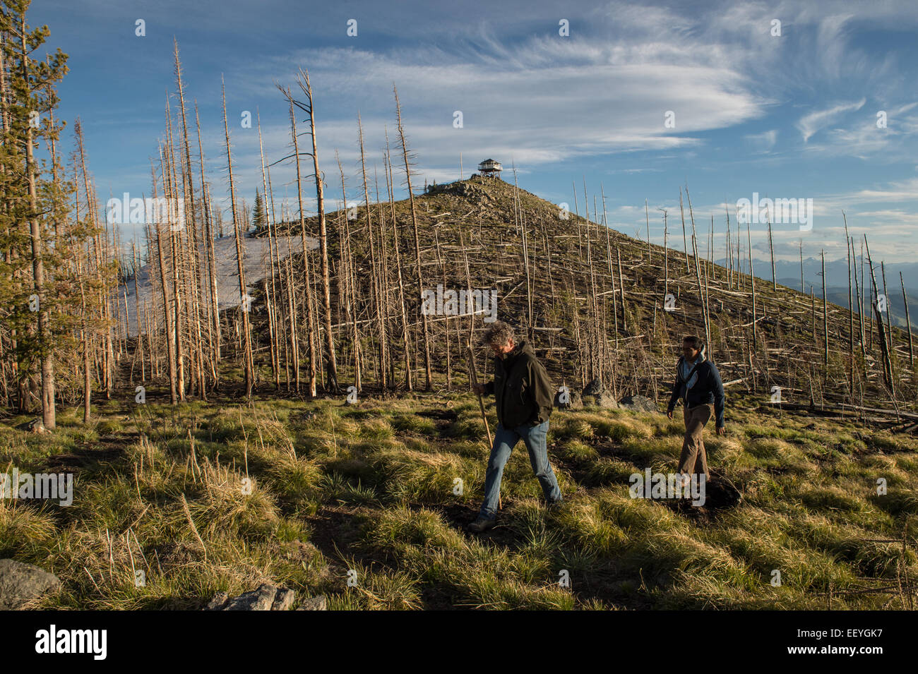 Dr. M Sanjayan und gefeierter Autor David James Duncan erkunden die Gird Point Lookout auf einem Berggipfel im Bitterroot National Forest in der Nähe von Hamilton, Montana, 19. Juni 2014. Ein 30-Zoll-Laufsteg rund um das Glas-getäfelten Zimmer bietet einen unverbauten Blick auf die umliegenden Bergketten Saphir, Bitterroot und Anaconda-Pintler. (Foto von Ami Vitale) Stockfoto