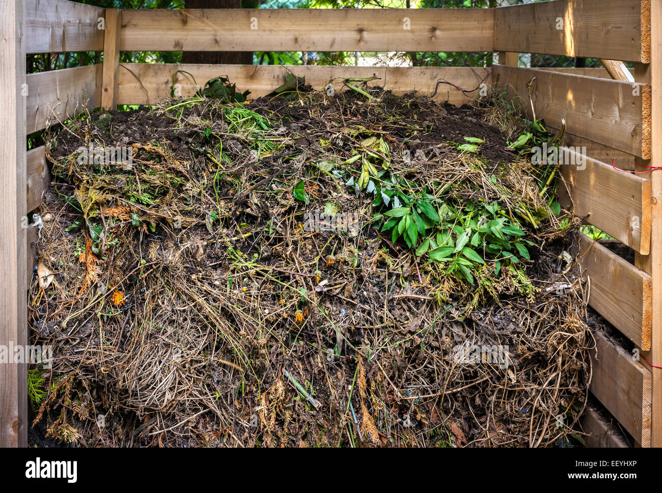 Bio Hof Abfälle in Holz Kompost Box für Hinterhof Garten Kompostieren Stockfoto