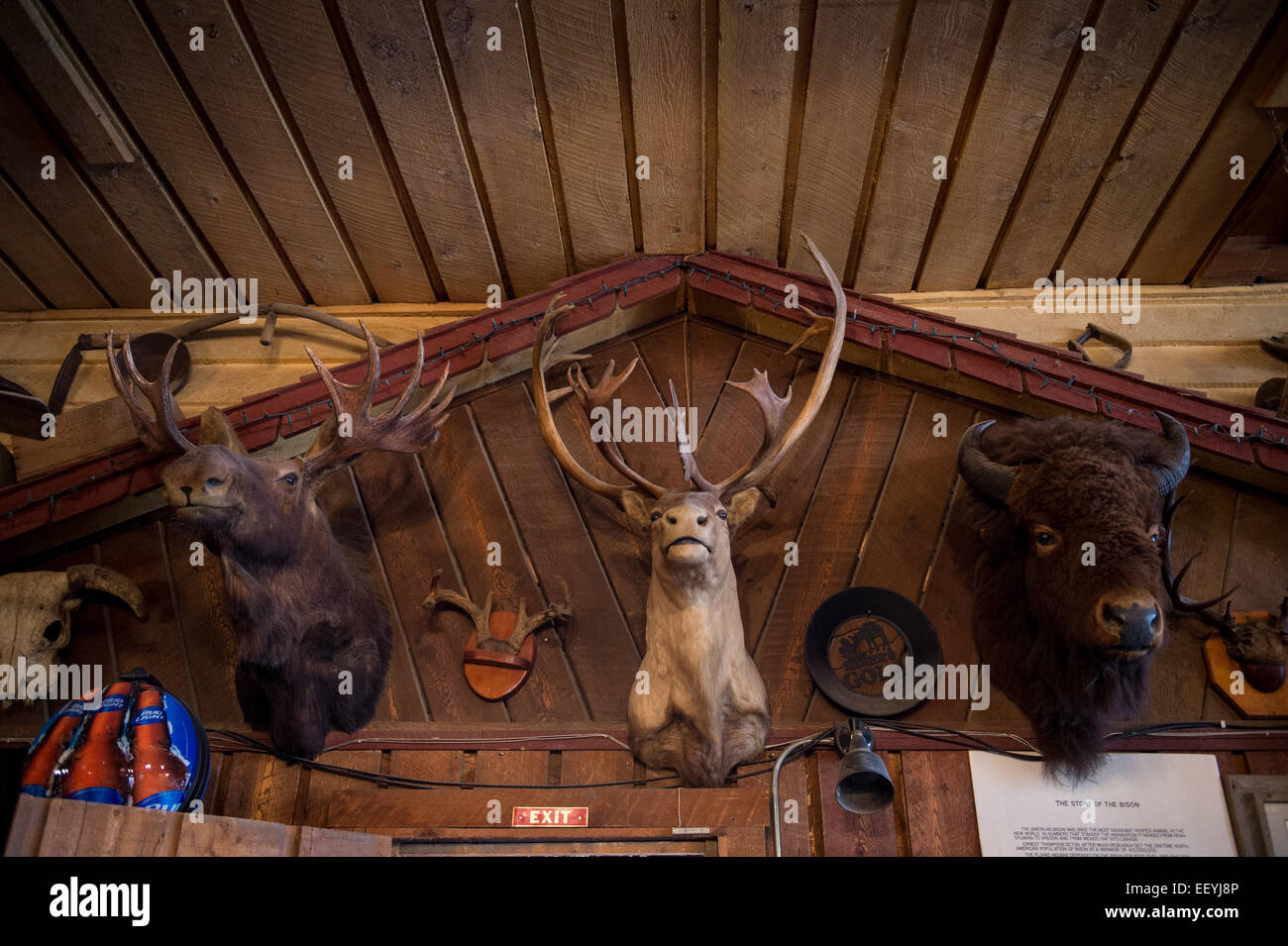 Touristen genießen den Sommerspaß in Virginia City, Montana. (Foto von Ami Vitale) Stockfoto