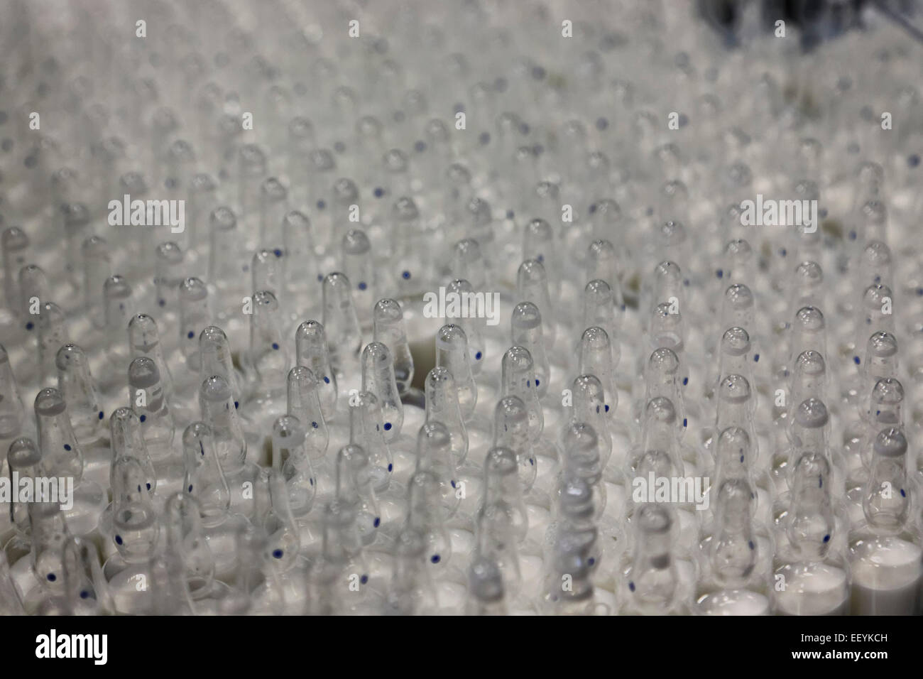 B braun melsungen ag pharma sein Fotos und Bildmaterial in hoher