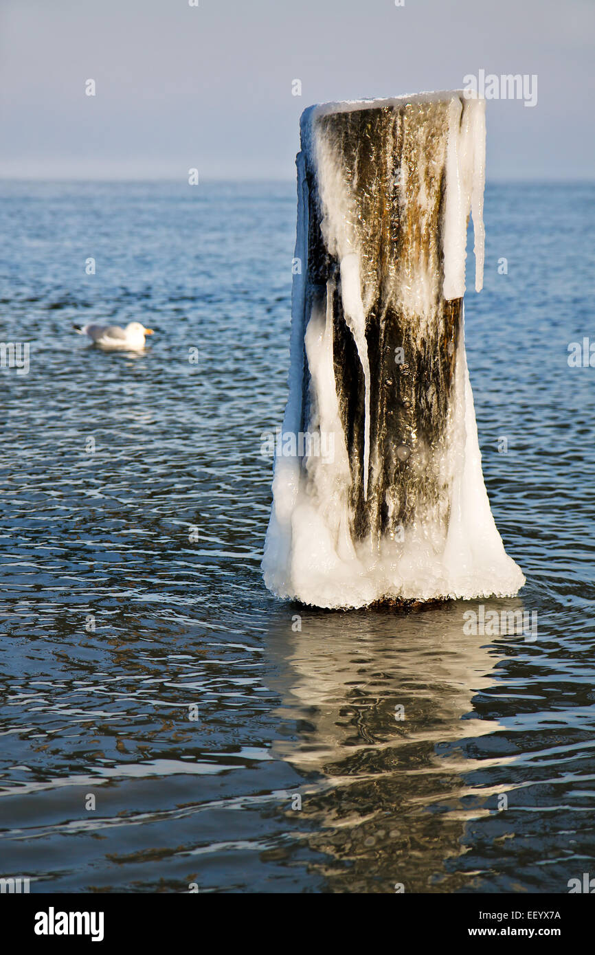 Gefrorene Wellenbrecher an der Ostseeküste. Stockfoto