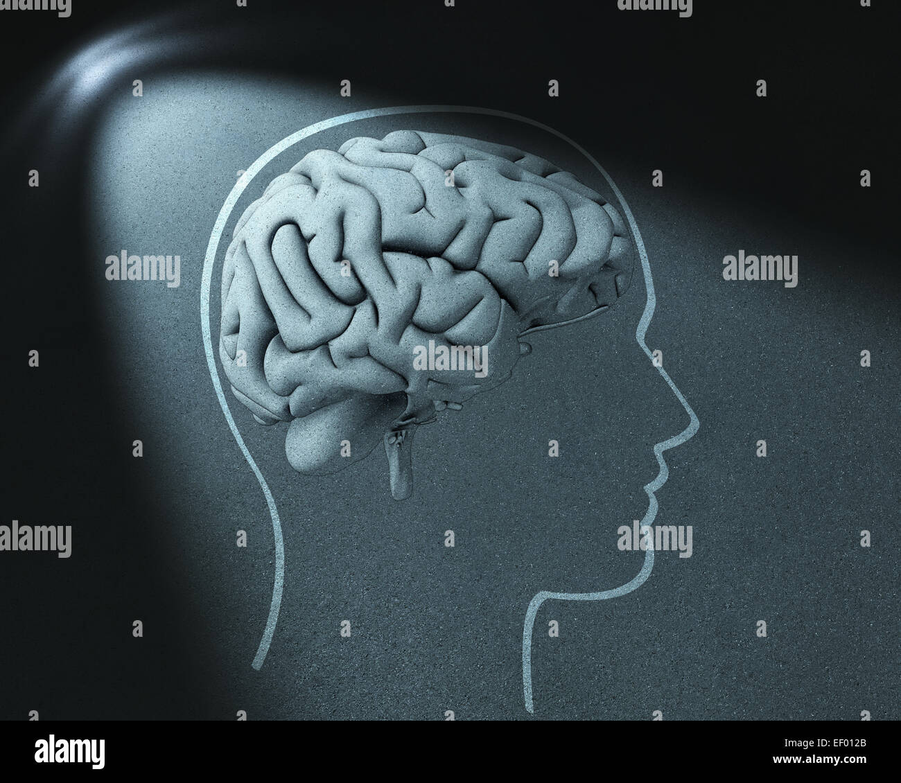 Kopf und Gehirn, die Zeichnung in Lichtfleck Stockfoto