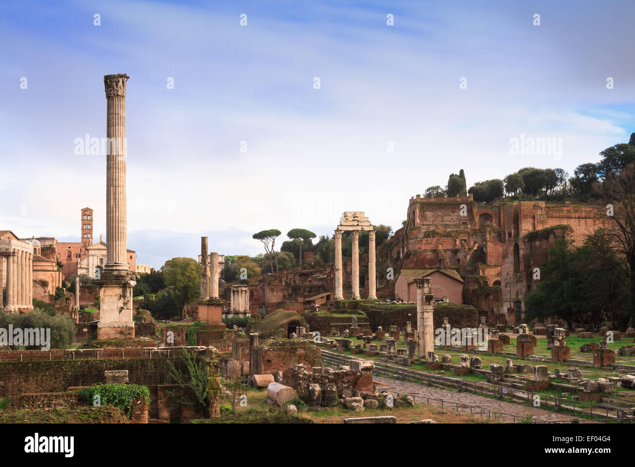 Blick auf das Forum Romanum, Rom, Italien Stockfoto