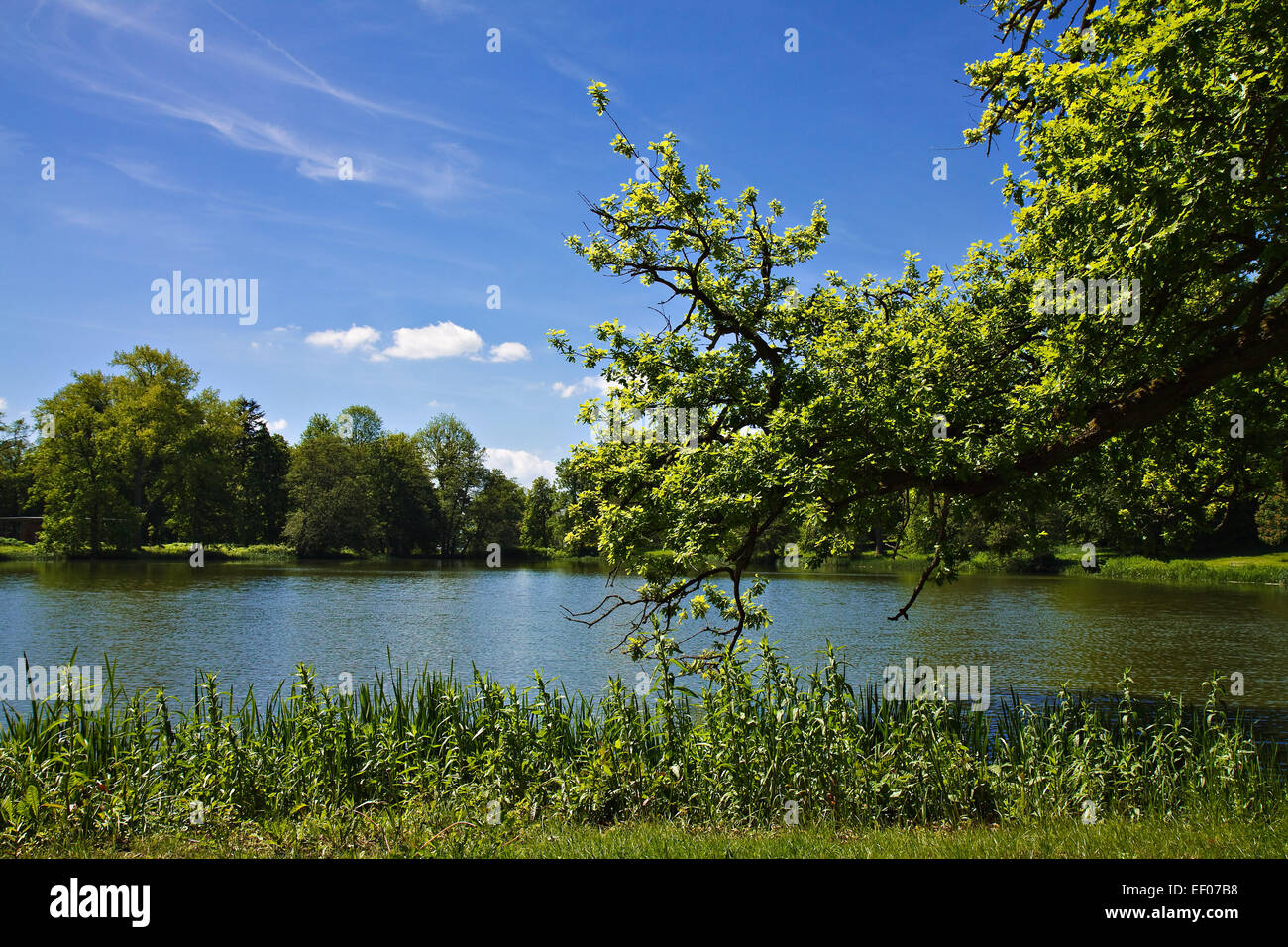 Landschaft von Rügen Stockfoto